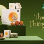 Introducing the 5 best-selling Phuc Long Mooncake fillings in 2023 gtdgc362x1aec.jpg