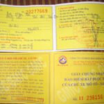 Need to understand correctly about motorbike insurance qhiigtywvovxz.jpg