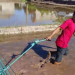 How much does Tran Dai Nghia rice transplanter cost? What types are there? ta02fg4nc1yix.jpg