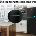 Detailed review of Hisense Inverter 205 liter RT256N4EBN refrigerator tbaqon9pxd423.jpg