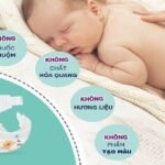 Bambo Nature diapers – Number 1 organic diapers for babies tio7y592barej.jpg