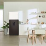 Review of Samsung Inverter 406 liter Bespoke refrigerator RT42CB6784C3SV zct8kkepqite2.jpg