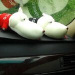 Tell you 10 beautiful and comfortable car interior decorations 5tn9qnlxgjucb.jpg