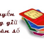 Instructions on how to switch network to Viettel (latest 2023) 8abwqn9cc1740.jpg