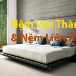 Van Thanh Mattress and Lien A Mattress: Which mattress should you buy from these two brands? 9dz19zct80d04.jpg