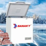 Review the 100L Sanaky VH-1599HY freezer in detail p5cbwfhh4bhzj.jpg