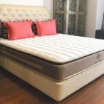 Top 6 best genuine Canadian luxury bedding sets priced from 10 million qck2cavs29dal.jpg