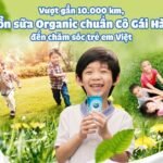 List of 4 types of organic milk for adults that everyone will love qdwjivdrabopi.jpg