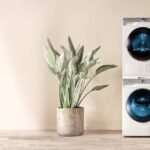 Top 5 Samsung washing machines under 7 million VND worth buying for the family t5b252in3ldpe.jpg